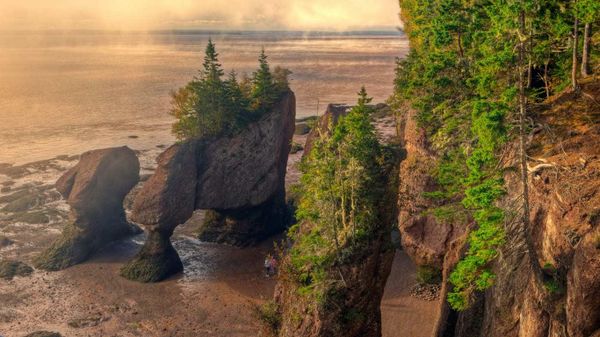 Fog Lifting, Hopewell Rocks, Flowerpots, Sandstone, Hopewell, Bay of Fundy, New Brunswick