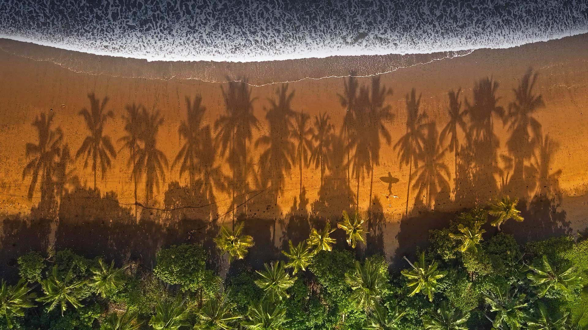 Surfer walking between palm trees in Medewi, Bali, Indonesia