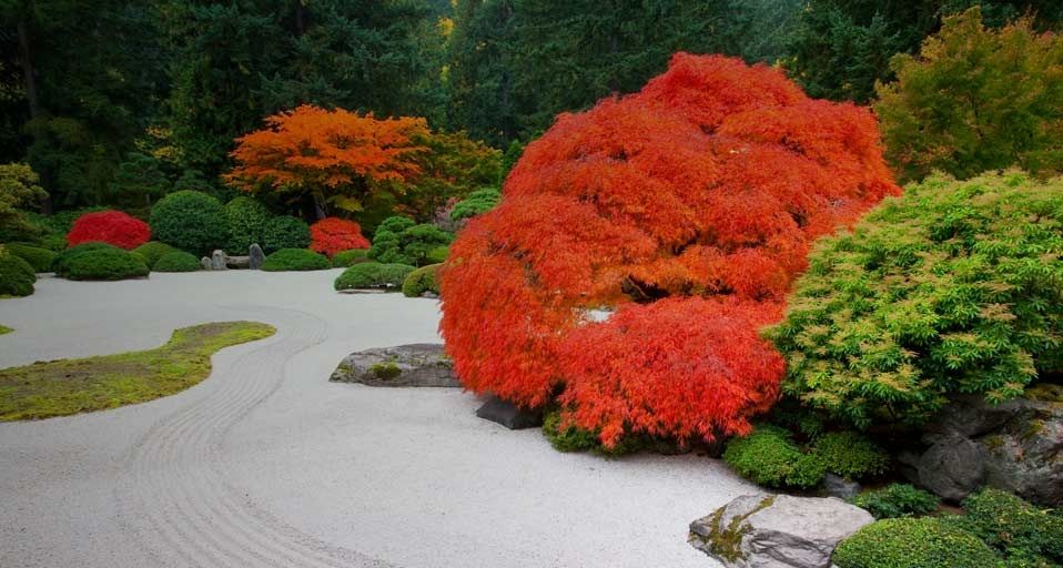 美国俄勒冈州波特兰的日本花园