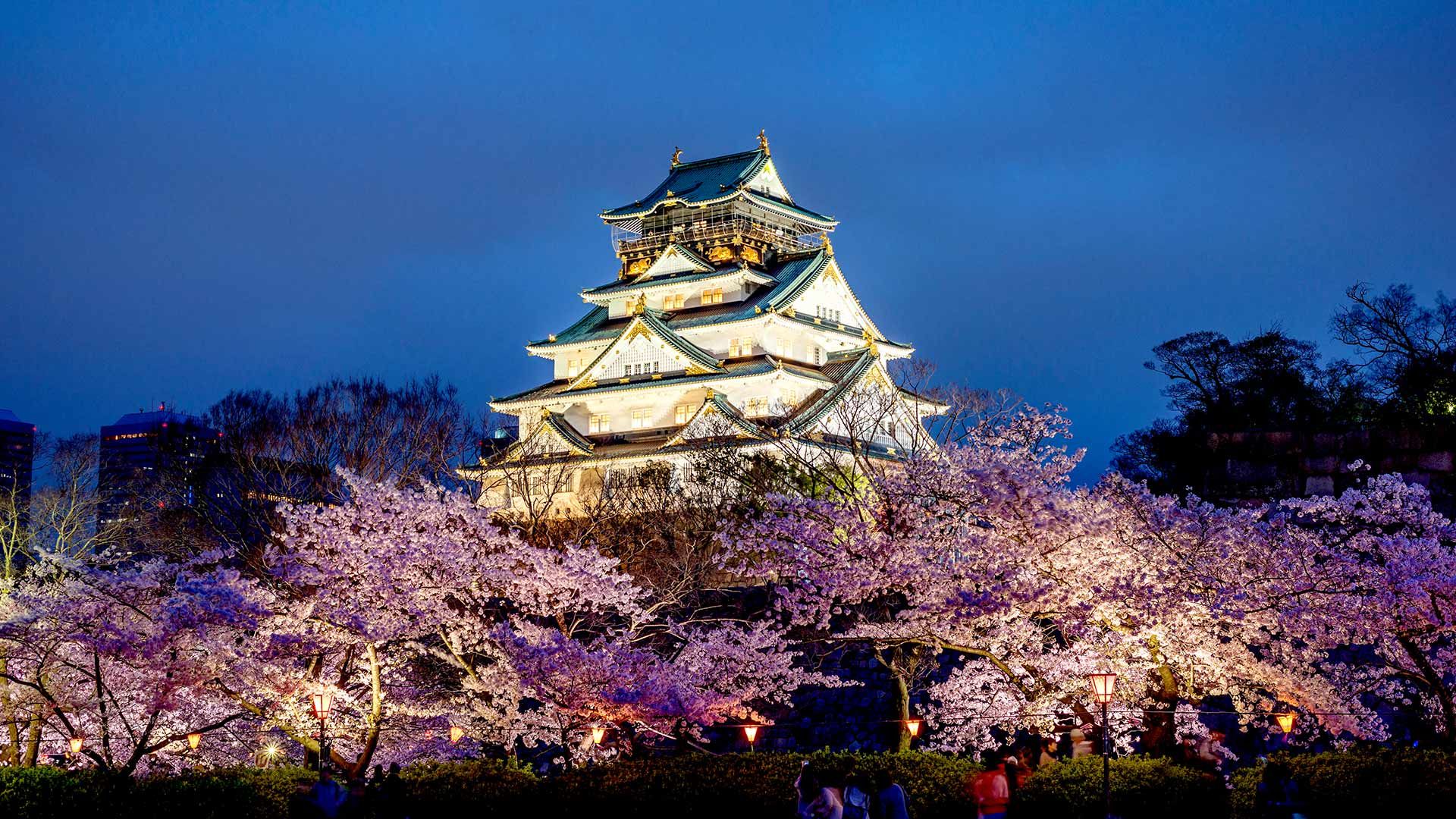 桜と大阪城, 大阪