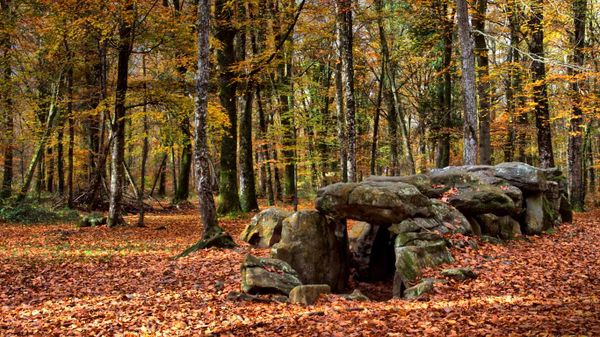 Dolmen “Maison des fées” dans la forêt du Mesnil, Ille-et-Vilaine, Bretagne