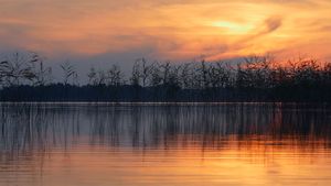 埃热泽尔斯湖面上的波纹，拉脱维亚拉特加尔地区 (© Eaglewood Films/Nimia)(Bing China)