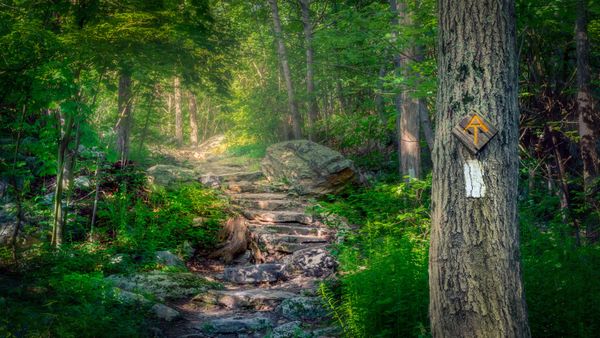 The Appalachian Trail in Stokes State Forest, New Jersey, USA