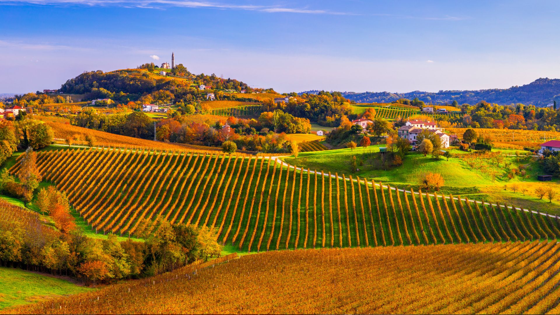 Colline del Prosecco di Conegliano e Valdobbiadene, Veneto, Italia