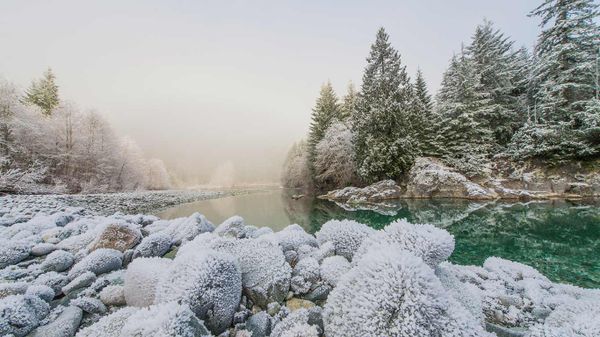 Frost on the banks of the Taylor River on the road to Tofino, B.C., Canada