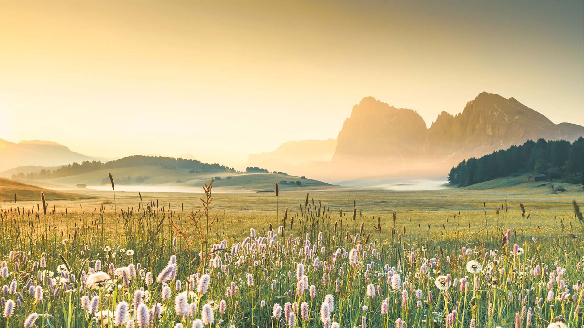 Alpe di Siusi, Dolomiti, Italia