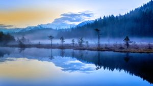 ｢霧の沼｣イタリア, アプリーカ (© Robert Harding World Imagery/Offset)(Bing Japan)