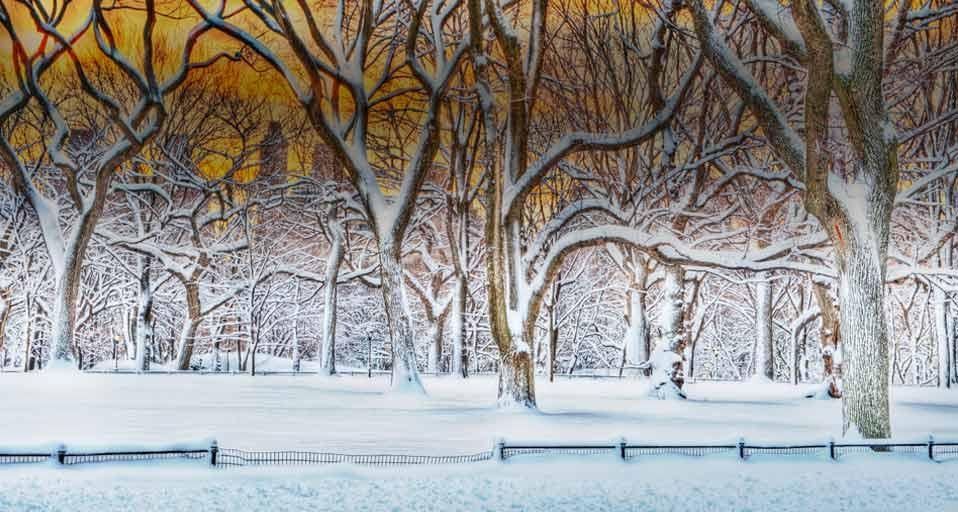CentralParkSnow