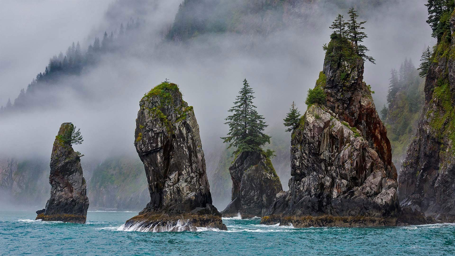 The Cove of Spires in Kenai Fjords National Park near Seward, Alaska