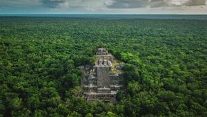 Ruins of the ancient Mayan city of Calakmul surrounded by the jungle, Campeche, Mexico (© Alfredo Matus/Shutterstock)(Bing Australia)