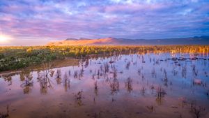 Lake Fyans, Grampians National Park, Victoria, Australia (© tracielouise/Getty Images)(Bing United States)