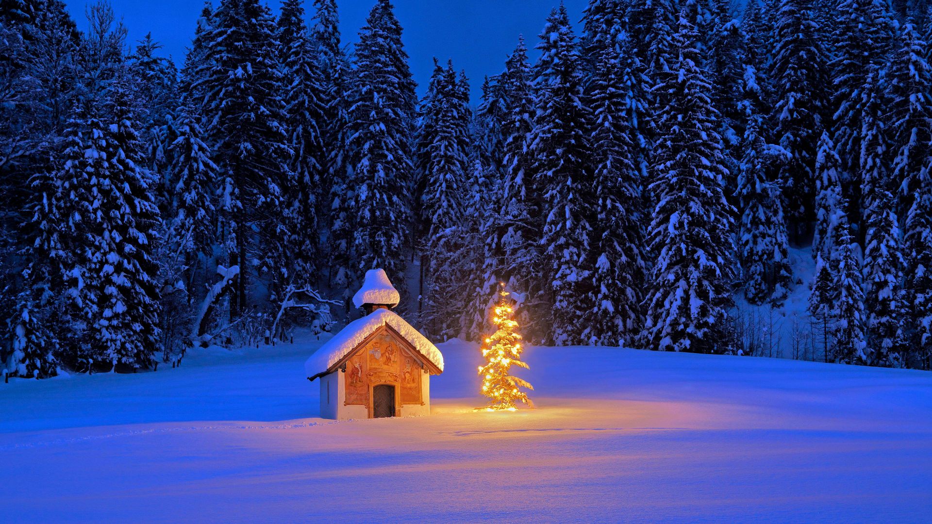Cappella innevata con albero di Natale nelle Alpi bavaresi, Germania