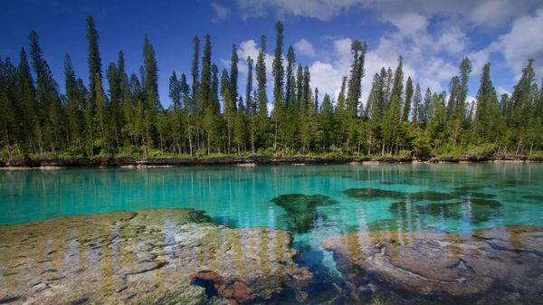 Piscine naturelle de la baie d’Oro, île des Pins, Nouvelle-Calédonie