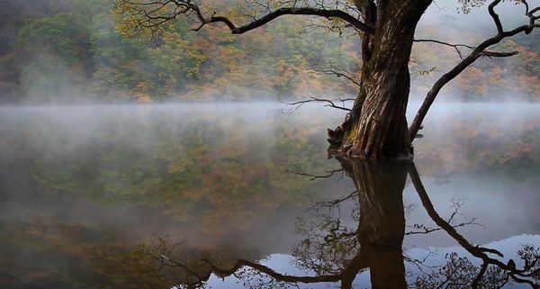 KoreanLake