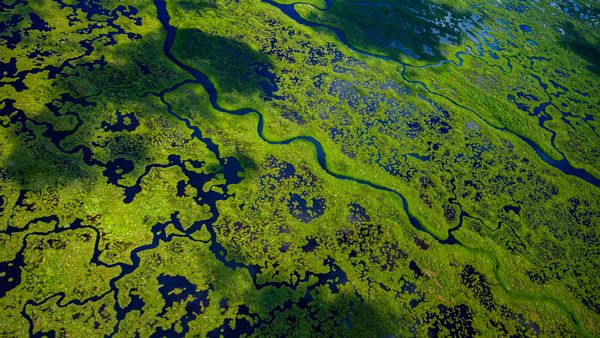 Aerial view of Everglades National Park, Florida