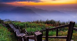 Alishan National Scenic Area, Chiayi County, Taiwan (© Kyle Lin/Getty Images)(Bing Australia)