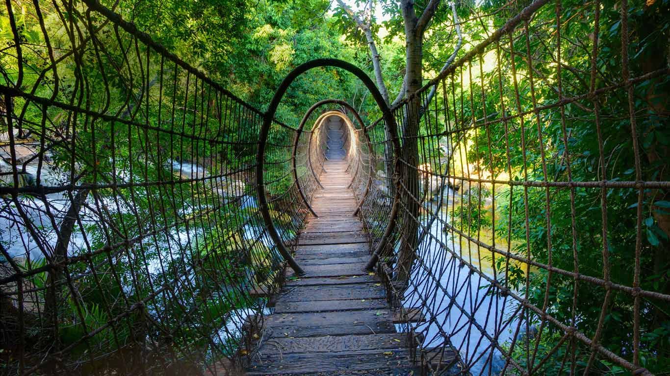 Sway bridge at the Palace of the Lost City, North West Province, South Africa