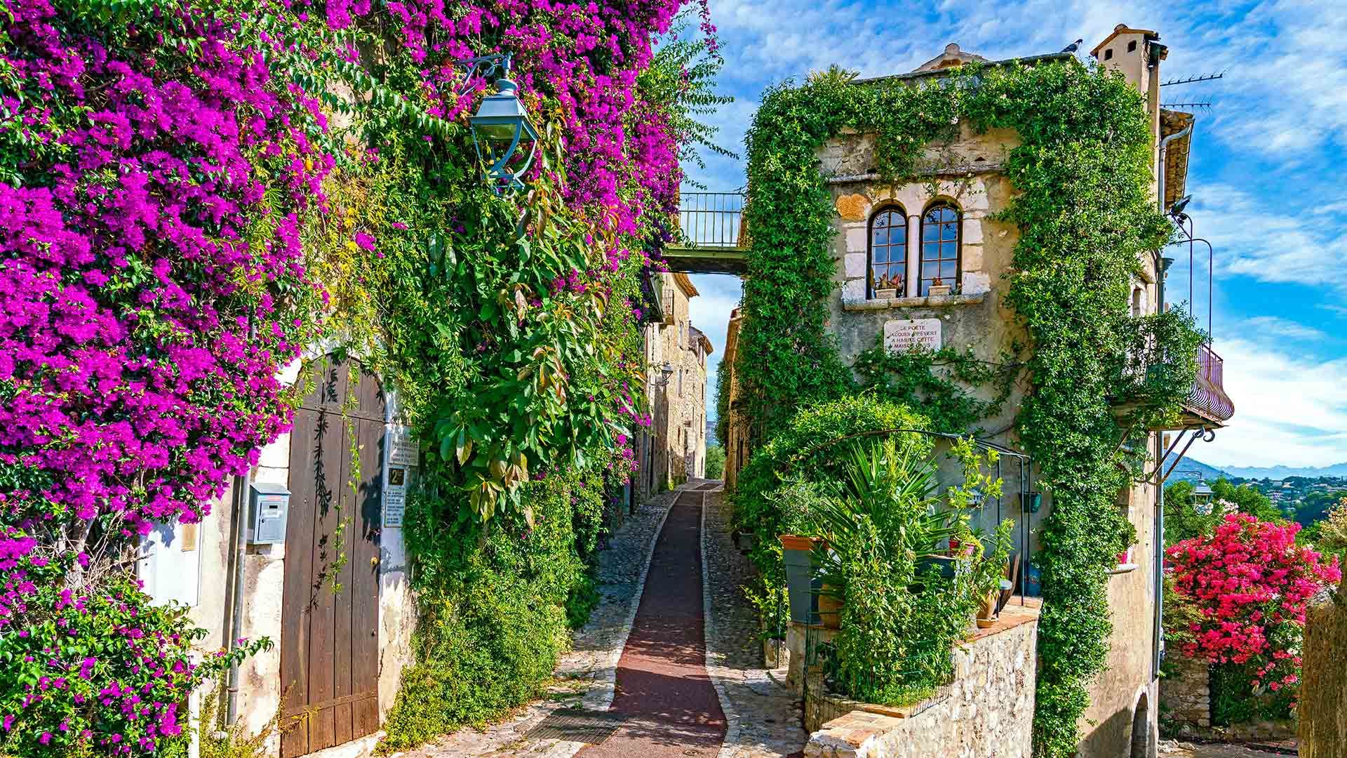 Allée fleurie à Saint-Paul-de-Vence, Alpes Maritimes, Provence-Alpes-Côte-D’azur