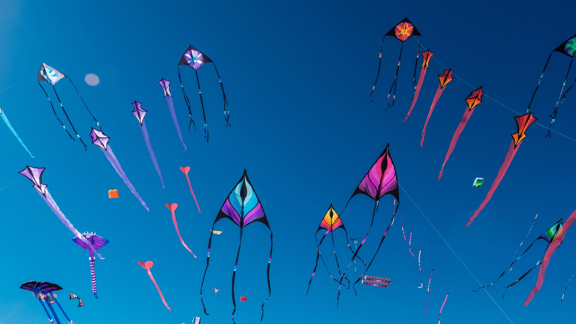 Adelaide International Kite Festival, Australia