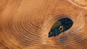 Exploitation agricole dans la Palouse, état de Washington (© Art Wolfe/Getty Images)(Bing France)