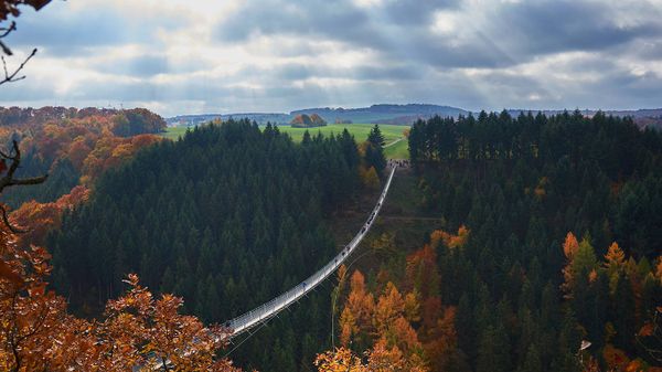 Geierlay suspension bridge, Saar-Hunsrueck-Steig, Hunsrueck, Rhineland-Palatinate, Germany