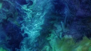 Phytoplancton dans la mer des Tchoutches au large de la côte de l’Alaska, États-Unis (© Norman Kuring/Kathryn Hansen/U.S. Geological Survey/NASA)(Bing France)