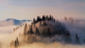大雾笼罩下的巴伐利亚阿尔卑斯山脉，德国 (© Anton Petrus/Getty Images)(Bing China)
