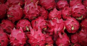 Pitayas ou “fruits du dragon” (© Asia Images Group/Photolibrary) &copy; (Bing France)