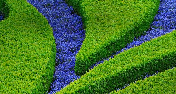 Shrub and flower design in Vrtba Garden (Old Palace garden) in Little Quarter in Prague, Czech Republic