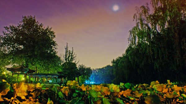 北京清华大学校内的近春园