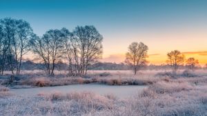 Schneebedecktes Feld bei Sonnenuntergang, Ostfriesland, Niedersachsen (© photo art/500px/Getty Images)(Bing Deutschland)