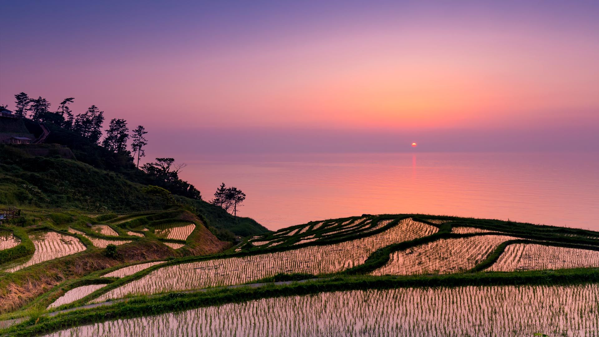 ｢白米千枚田の夕日｣石川, 輪島市