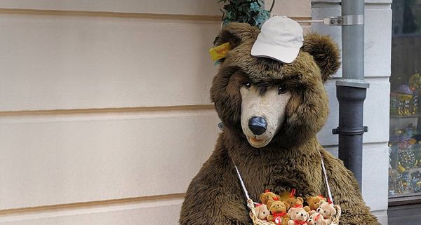 ToyBear