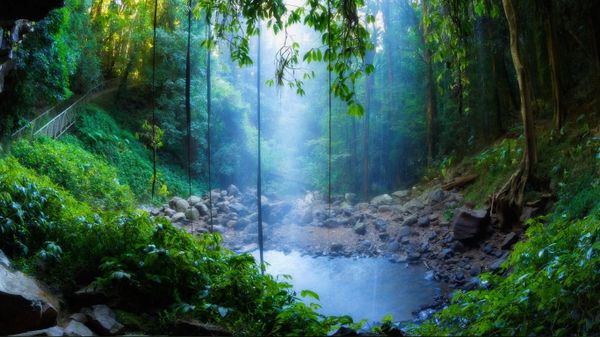 Crystal Shower Falls, Dorrigo National Park, New South Wales, Australia