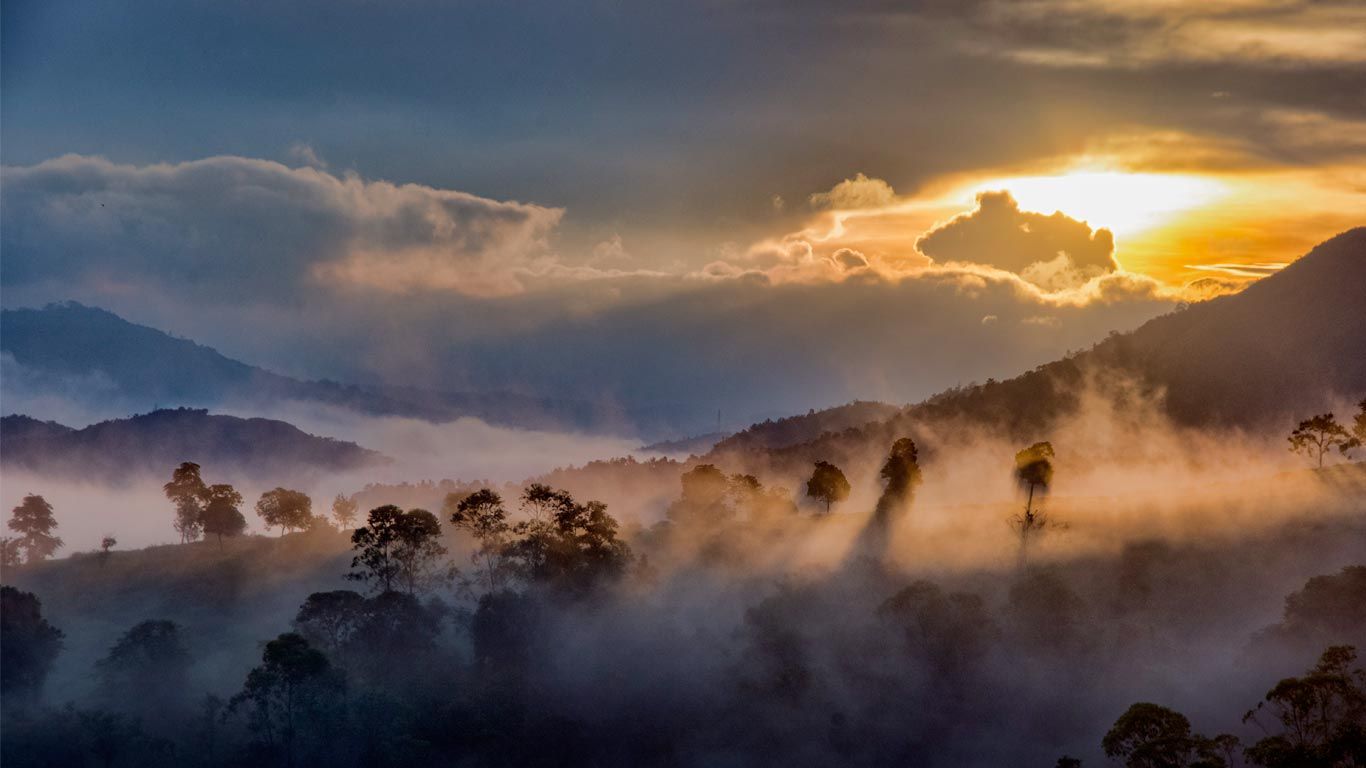 Mist over the forests of Idukki, Western Ghats, Kerala, India