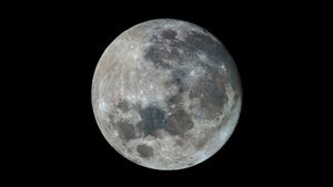 観測機器で撮影された月 (© Victor Blum/Getty Images)(Bing Japan)