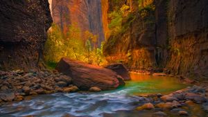 锡安国家公园的处女河，犹他州，美国 (© Marc Adamus/Aurora Photos)(Bing China)
