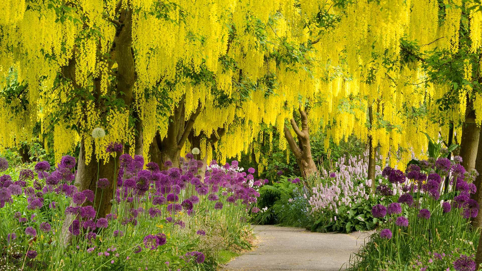 VanDusen Botanical Garden, Vancouver, Canada