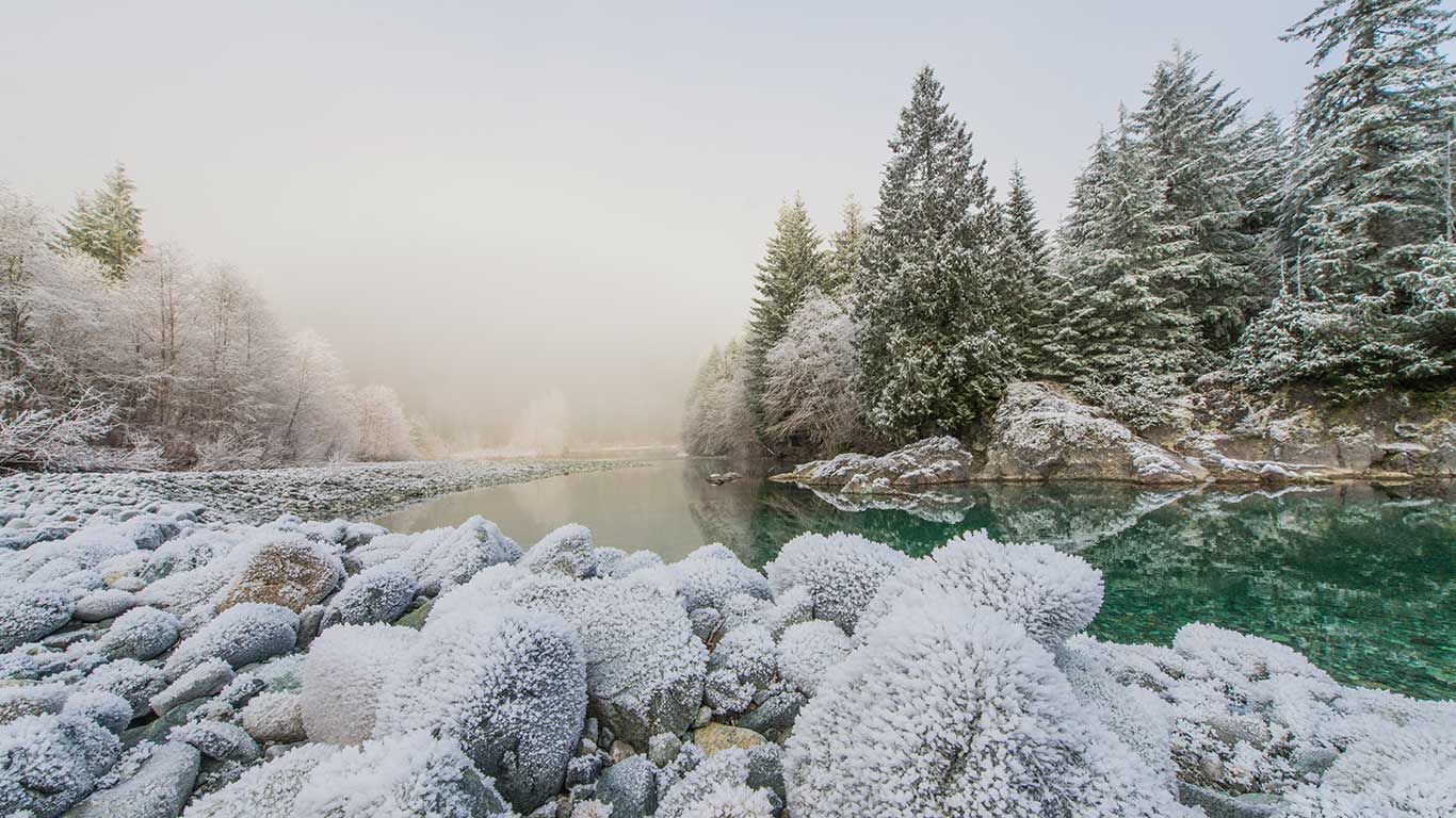 Frost on the banks of the Taylor River on the road to Tofino, B.C., Canada
