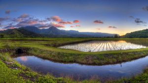 美国夏威夷州，考爱岛的哈纳雷山谷 (© Ian Philip Miller/Getty Images)(Bing China)