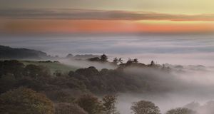 Dawn breaks on foggy morning on east of Dartmoor, Devon, England - David Clapp/Photolibrary &copy; (Bing United Kingdom)