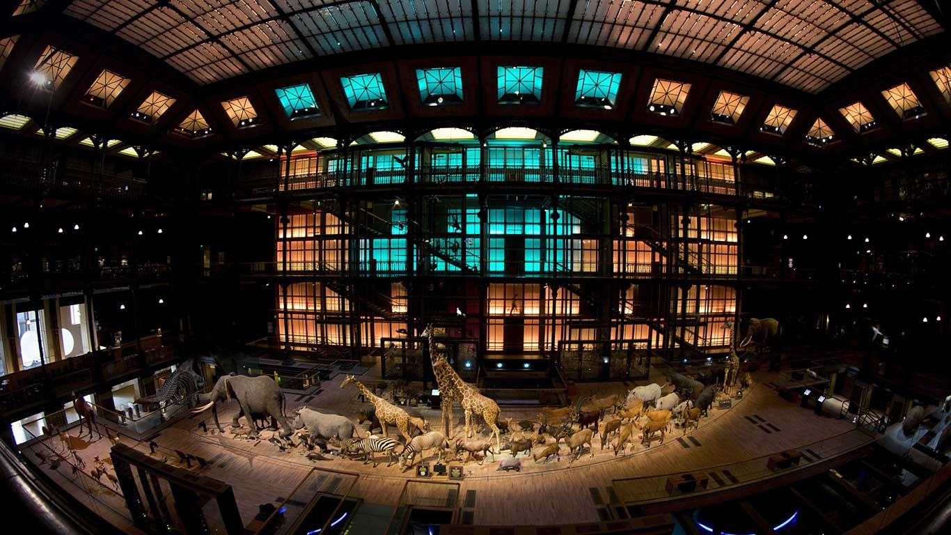 Grande galerie de l’Évolution, Muséum national d’histoire naturelle à Paris