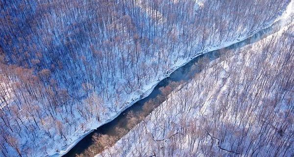 CreekVirginia