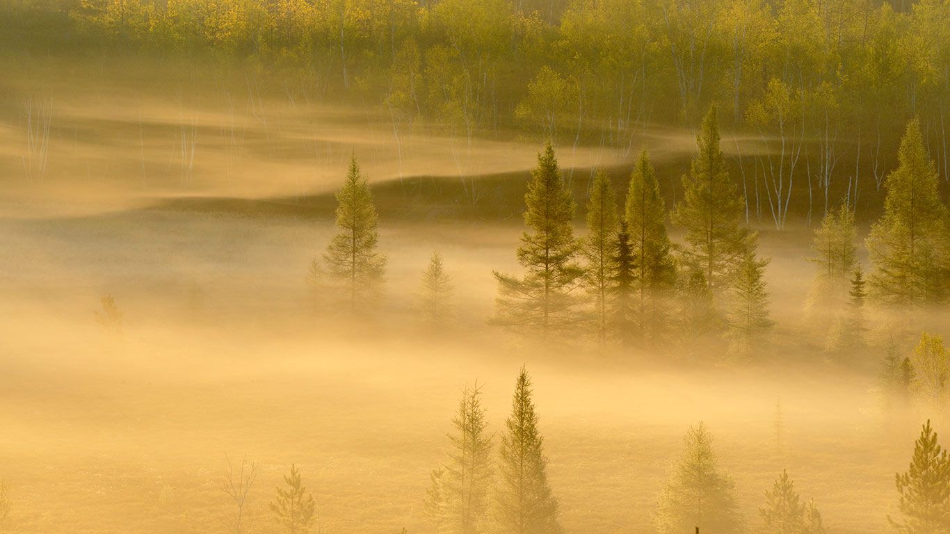 Spring trees in a misty valley, Lively, Sudbury, Ontario, Canada