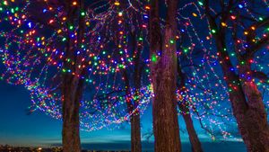 Christmas lights on trees at dusk, Vancouver, Canada (© Stuart Dee/Getty Images)(Bing Canada)