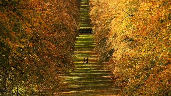 Stormont Estate, Northern Ireland