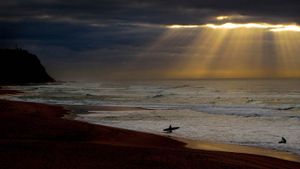 Surfers at Bar Beach near Newcastle, New South Wales (© Fairfax Media/Getty Images)(Bing Australia)