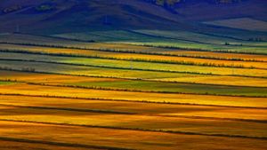 Hulunbuir grasslands, Inner Mongolia, China (© Sino Images/Getty Images)(Bing Australia)