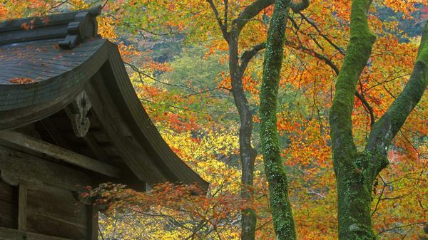 ｢貴船神社｣京都, 左京区