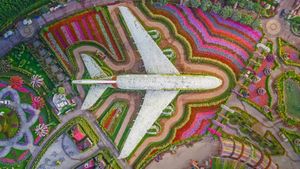 ｢ドバイ・ミラクルガーデン｣アラブ首長国連邦, ドバイ (© Amazing Aerial/Offset)(Bing Japan)